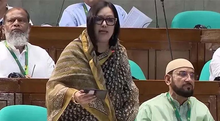 দেশ কার্যত ‘মবের শহরে’ পরিণত হয়েছে: রুমিন ফারহানা