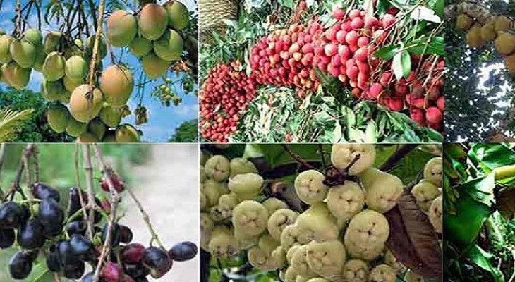 জ্যৈষ্ঠ : মধুমাসের গান